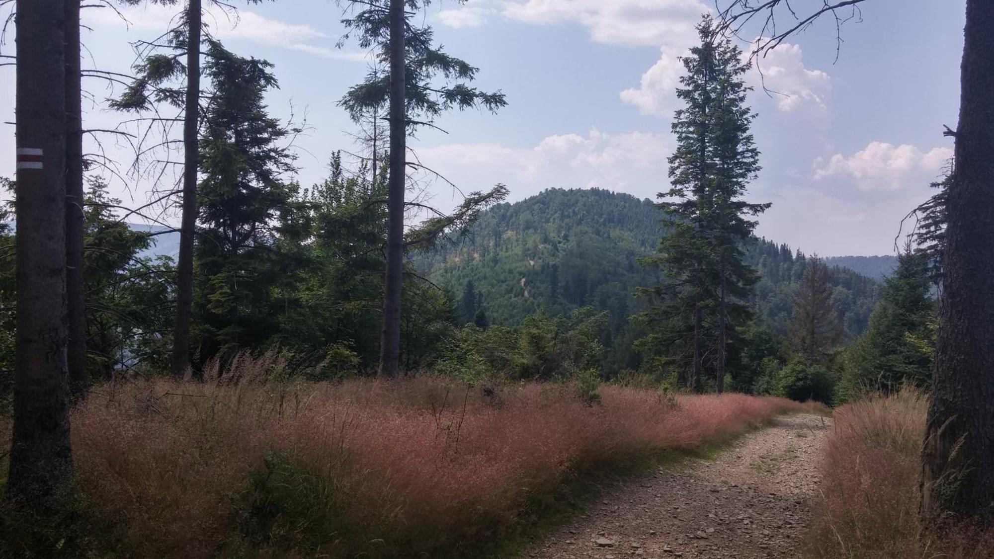 Bed and Breakfast Pod Klimczokiem I Щирк Екстер'єр фото