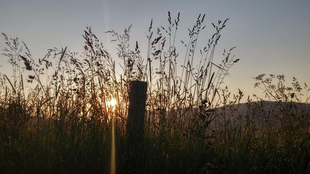 Bed and Breakfast Pod Klimczokiem I Щирк Екстер'єр фото
