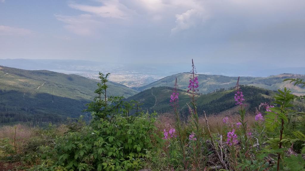 Bed and Breakfast Pod Klimczokiem I Щирк Екстер'єр фото