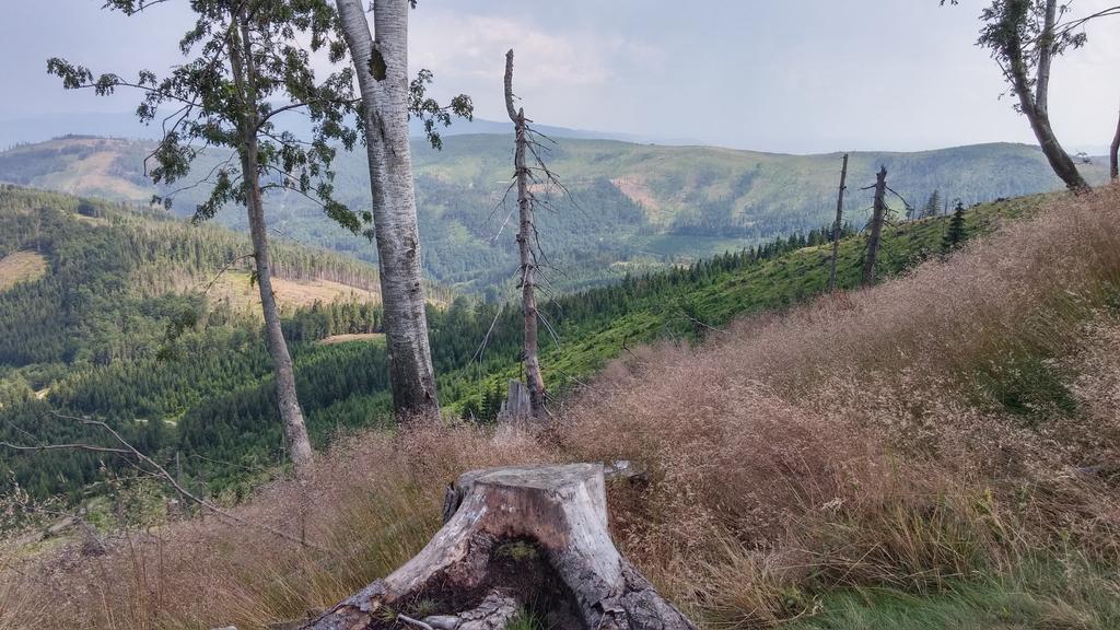 Bed and Breakfast Pod Klimczokiem I Щирк Екстер'єр фото